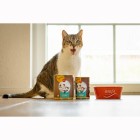 Kat Natvoer RyCat biologische eend 400g 6 Stuk -3- Anifit